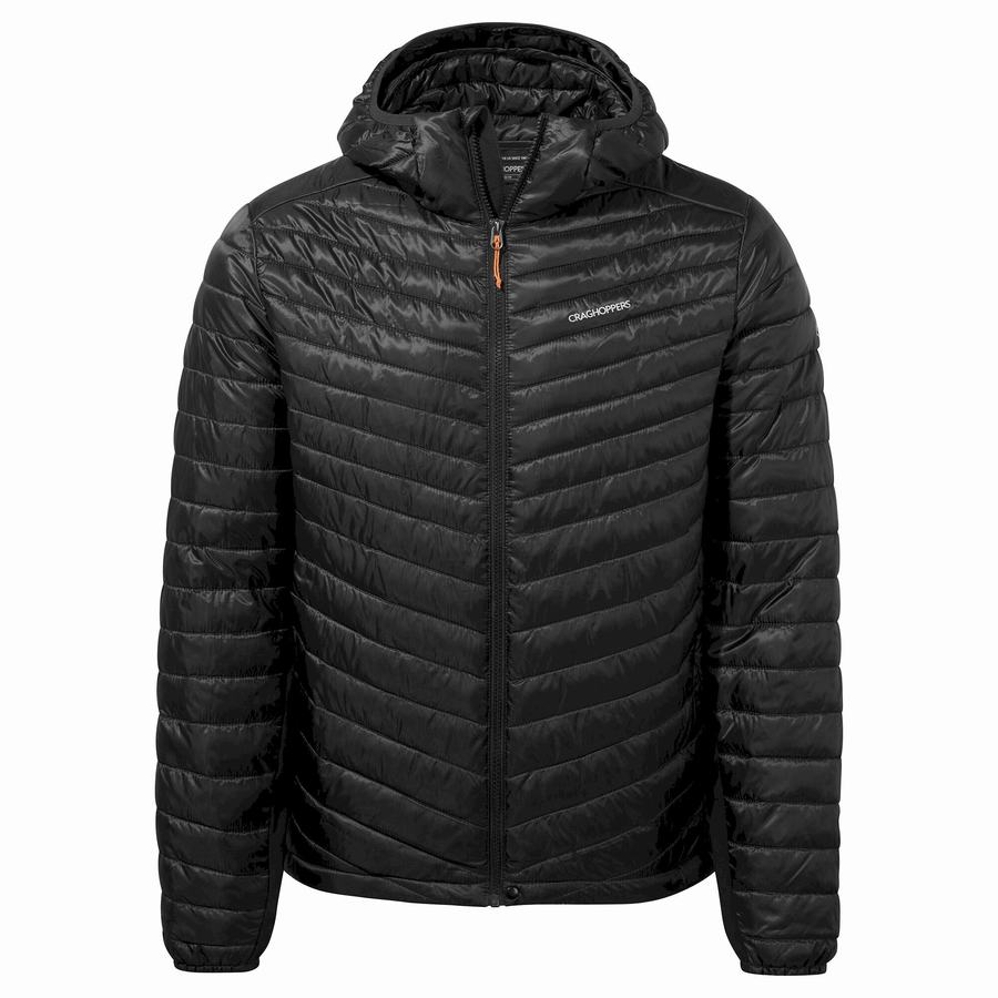 Black Craghoppers ExpoLite Insulated Hooded Men's Jackets | KKM5929FE