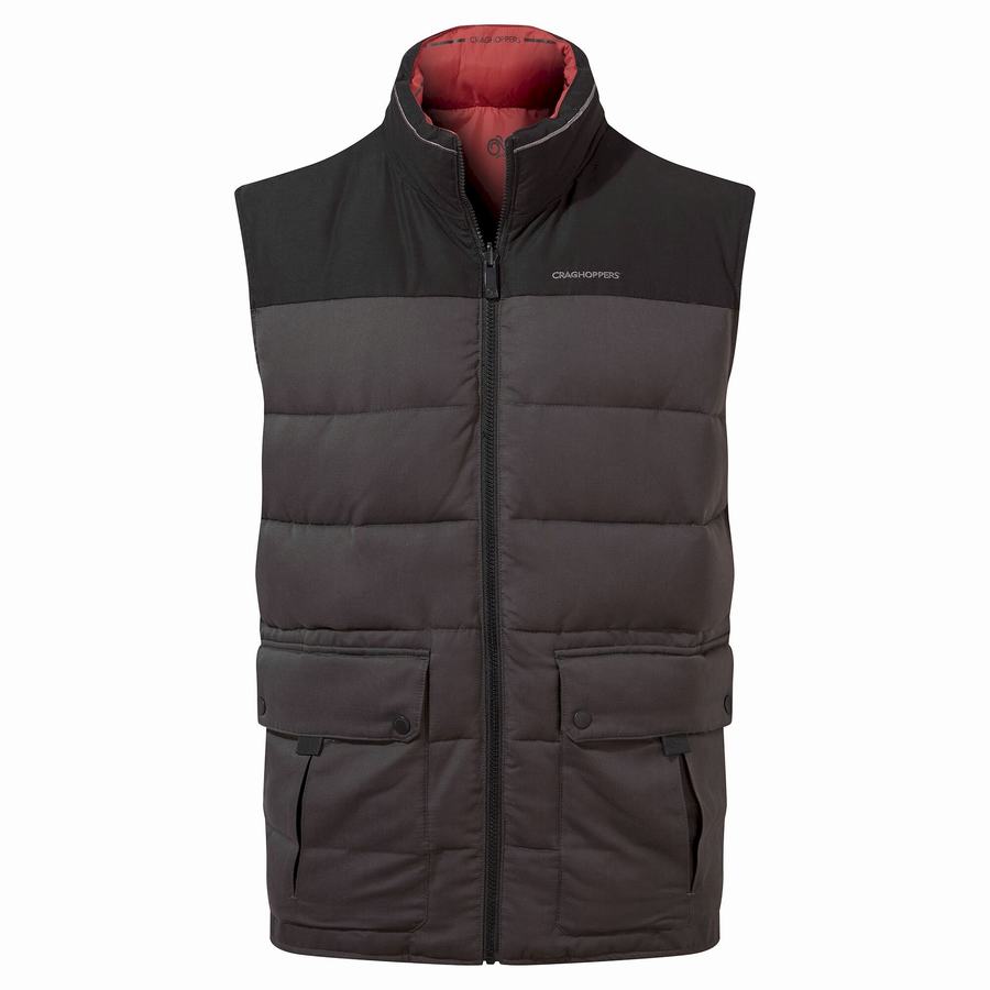 Black Craghoppers Trillick Downlike Men's Gilets | TOC6916SR