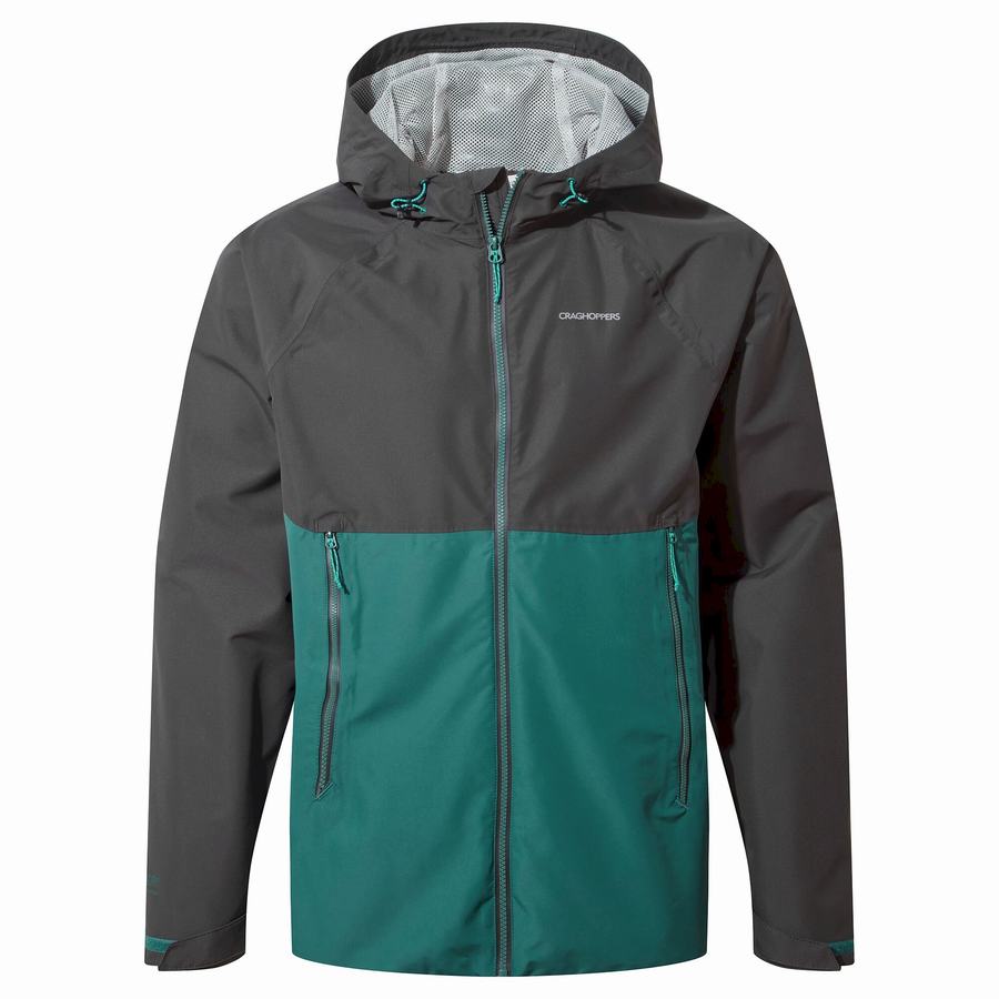 Black Green Craghoppers Sebastian Men's Jackets | ROM8059TF