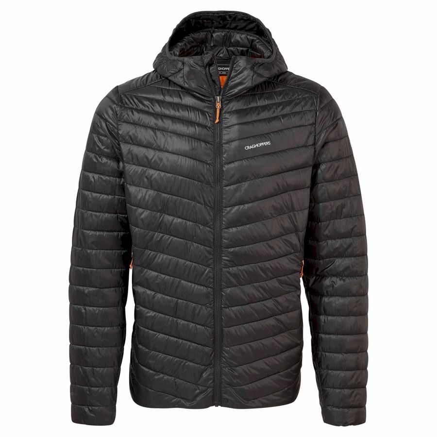 Black Orange Craghoppers Insulated ExpoLite Hooded Men's Jackets | KIP5171NG