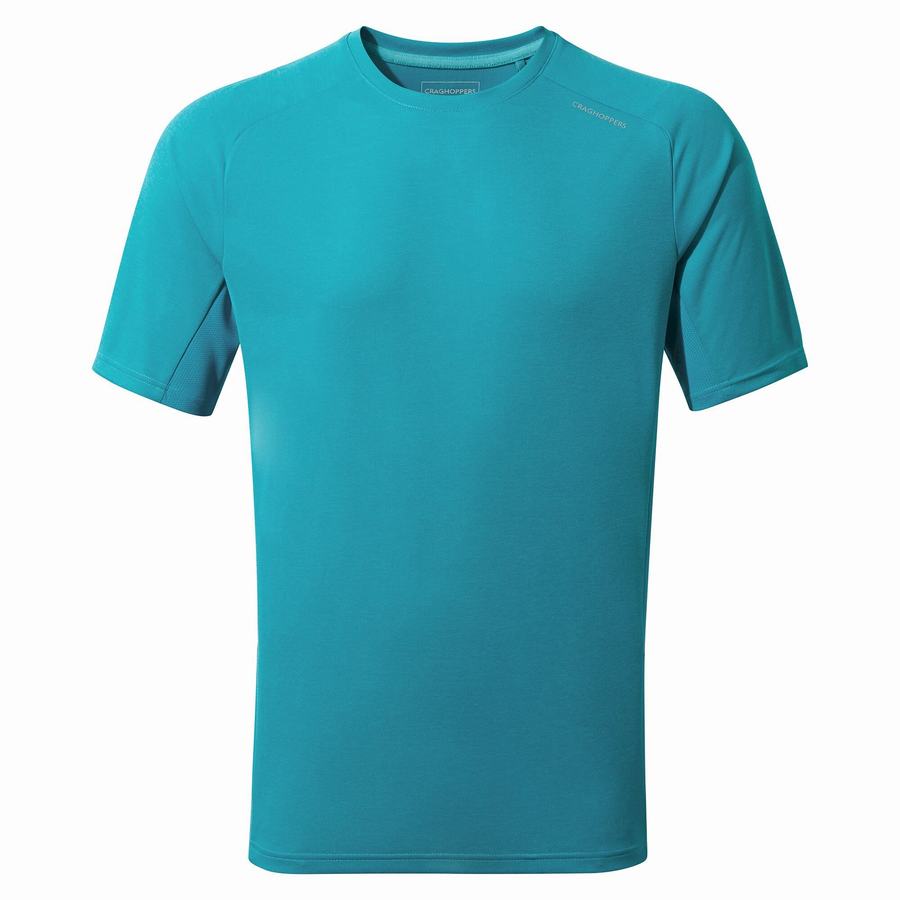 Blue Craghoppers Dynamic Pro Short Sleeved Men's T-Shirts | AVQ672CZ