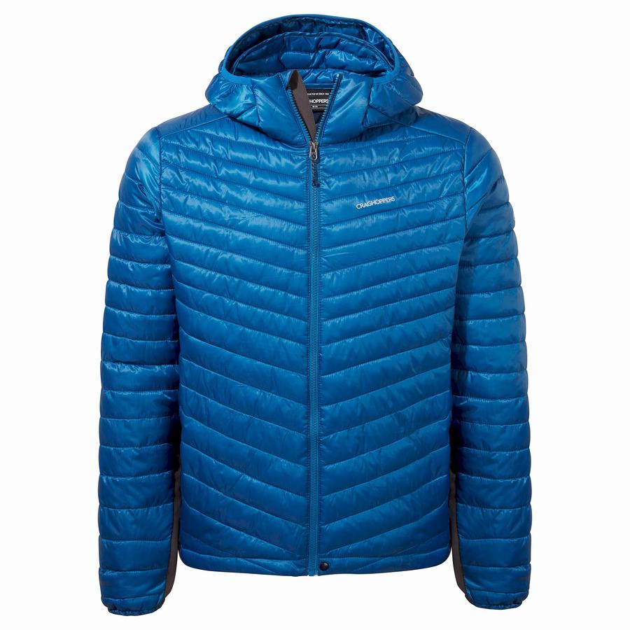 Blue Craghoppers ExpoLite Insulated Hooded Men's Jackets | UZA4727VH