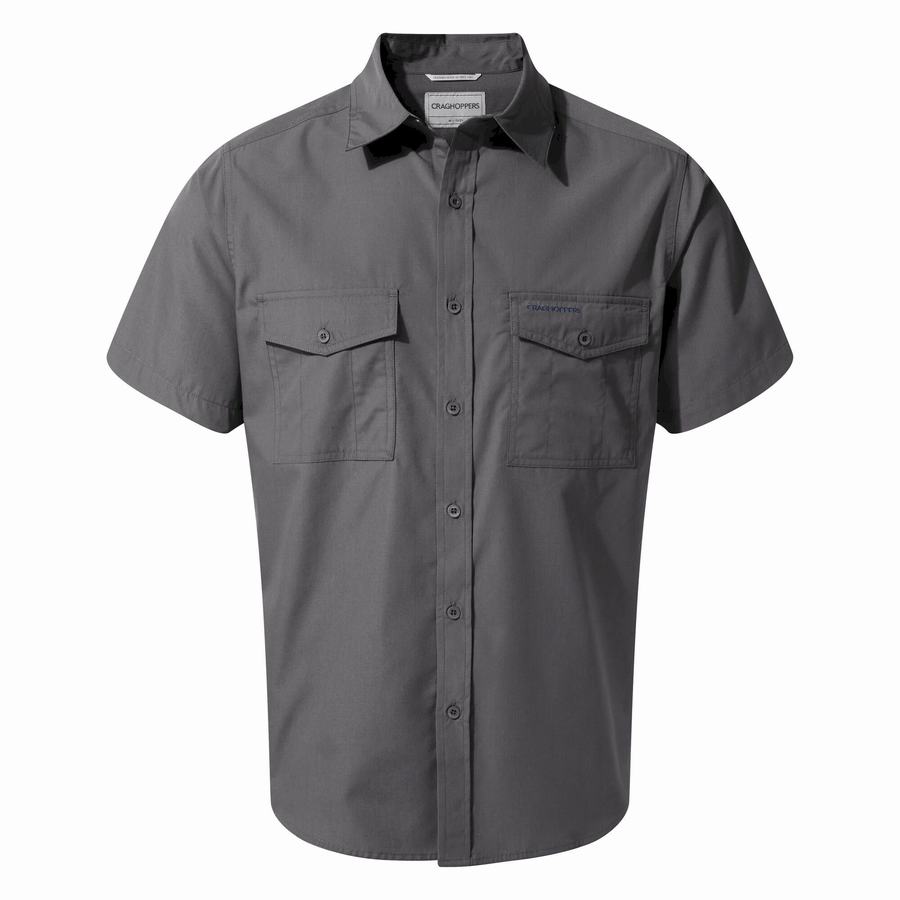 Blue Craghoppers Kiwi Short Sleeved Men's Shirts | YXP9672GG