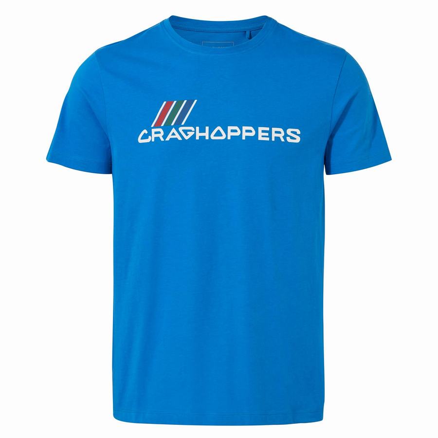 Blue Craghoppers Lugo Short Sleeved Men's T-Shirts | NJI334DQ