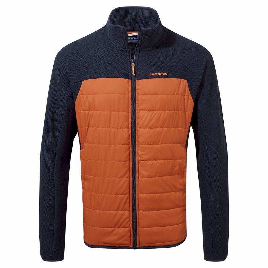 Blue Navy Craghoppers Finglas Hybrid Men's Jackets | PEN24100EQ