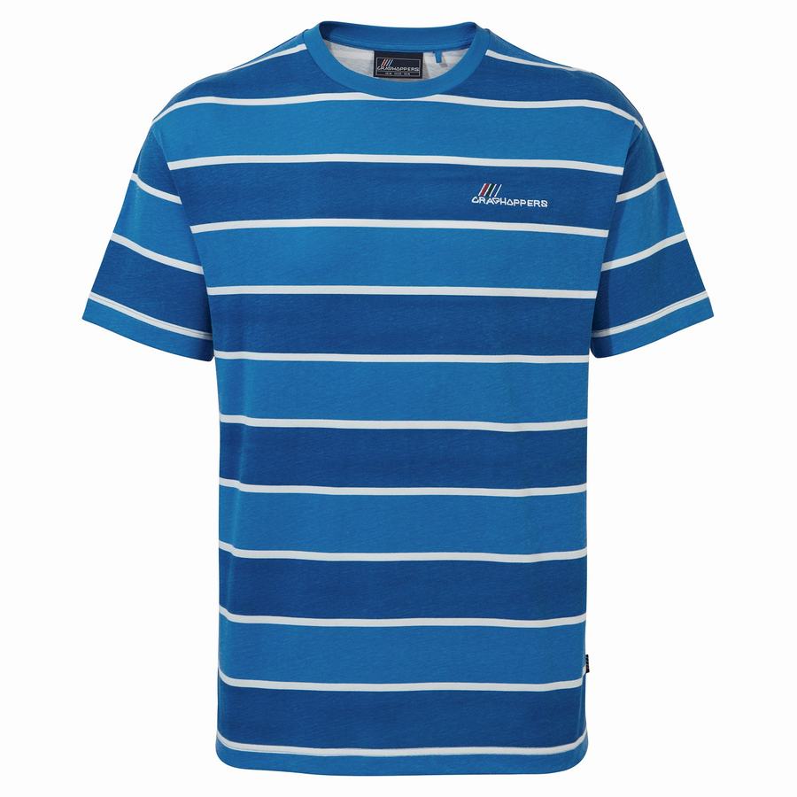 Blue Stripes Craghoppers Ventura Short Sleeved Men's T-Shirts | GNJ6998JU