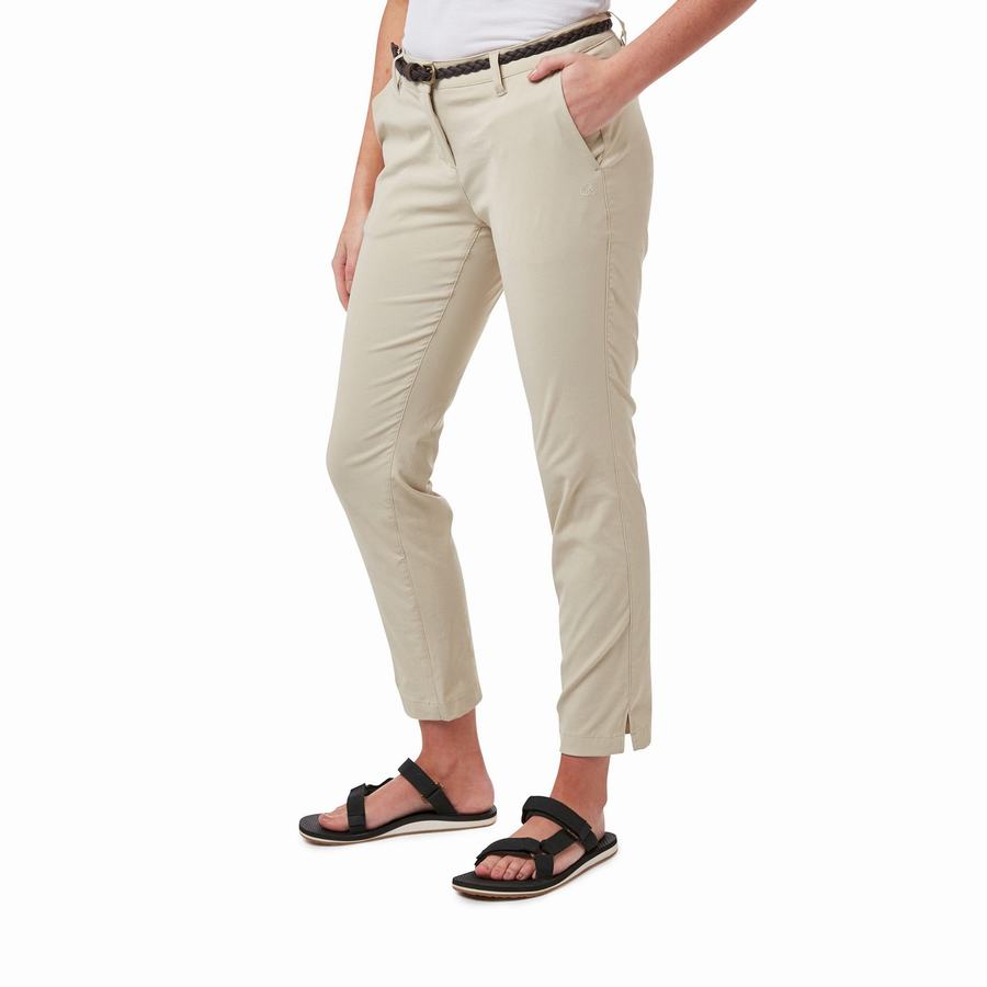 Brown Craghoppers NosiLife Briar Women's Trousers | STX5225XL