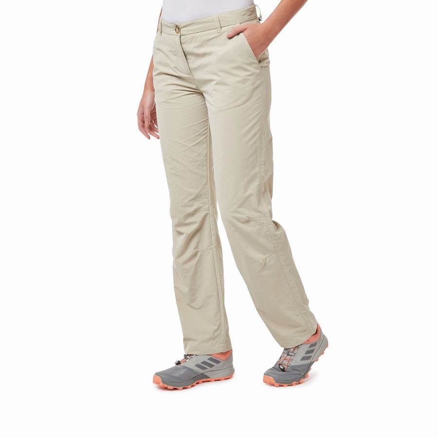 Brown Craghoppers NosiLife III Women's Trousers | PYR5398RT