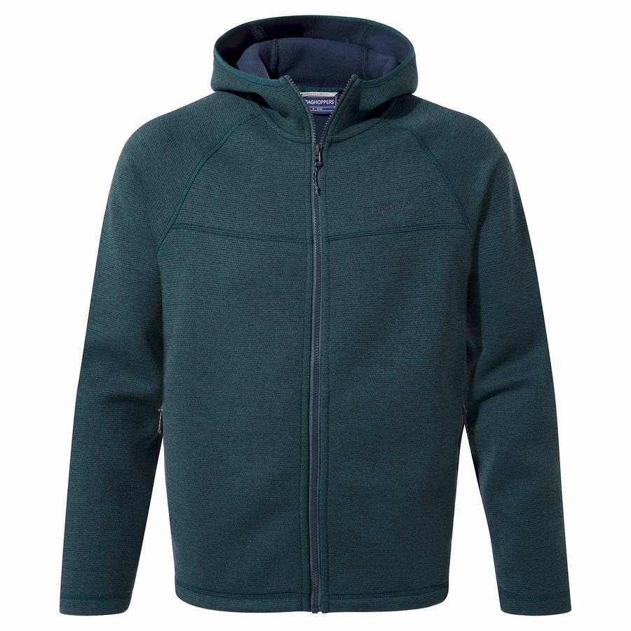 Dark Blue Craghoppers Brayden Hooded Men's Sweaters | ASO2132BI