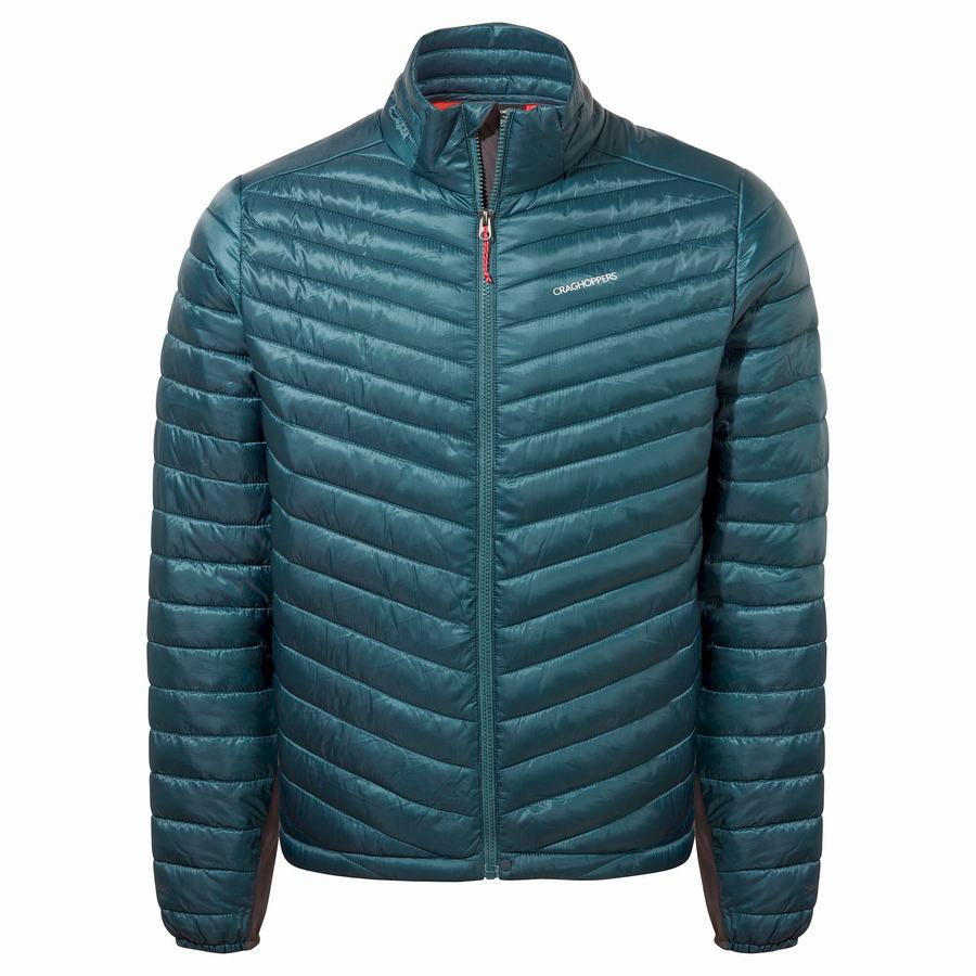 Dark Blue Craghoppers ExpoLite Insulated Men's Jackets | ESV2094AT