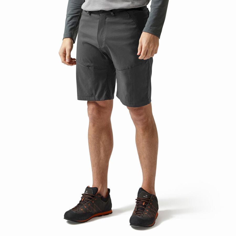 Dark Grey Craghoppers Kiwi Pro Men's Shorts | KNZ3440LT