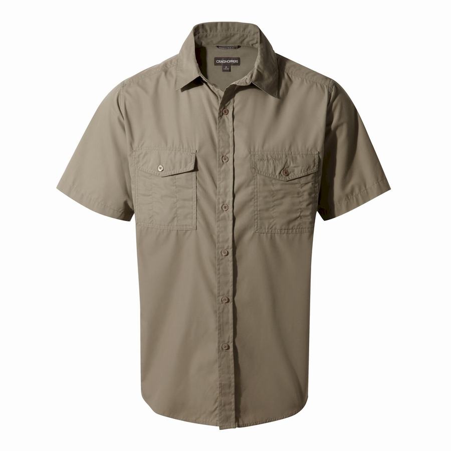 Deep Green Craghoppers Kiwi Short Sleeved Men's Shirts | BMK2880BI