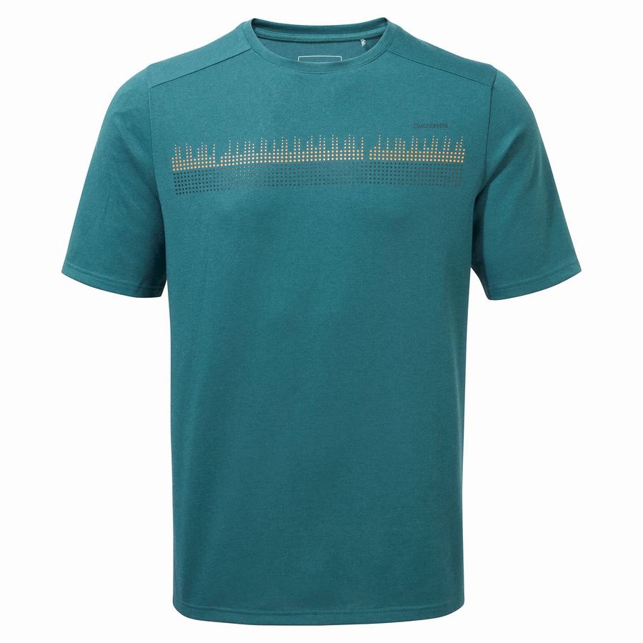 Green Craghoppers Dynamic Short Sleeved Men's T-Shirts | WMT8290RK