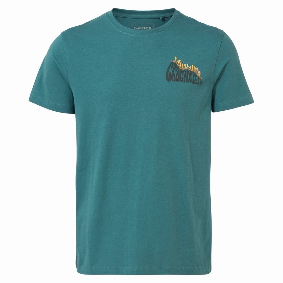 Green Craghoppers Lugo Short Sleeved Men's T-Shirts | LSU9655LA