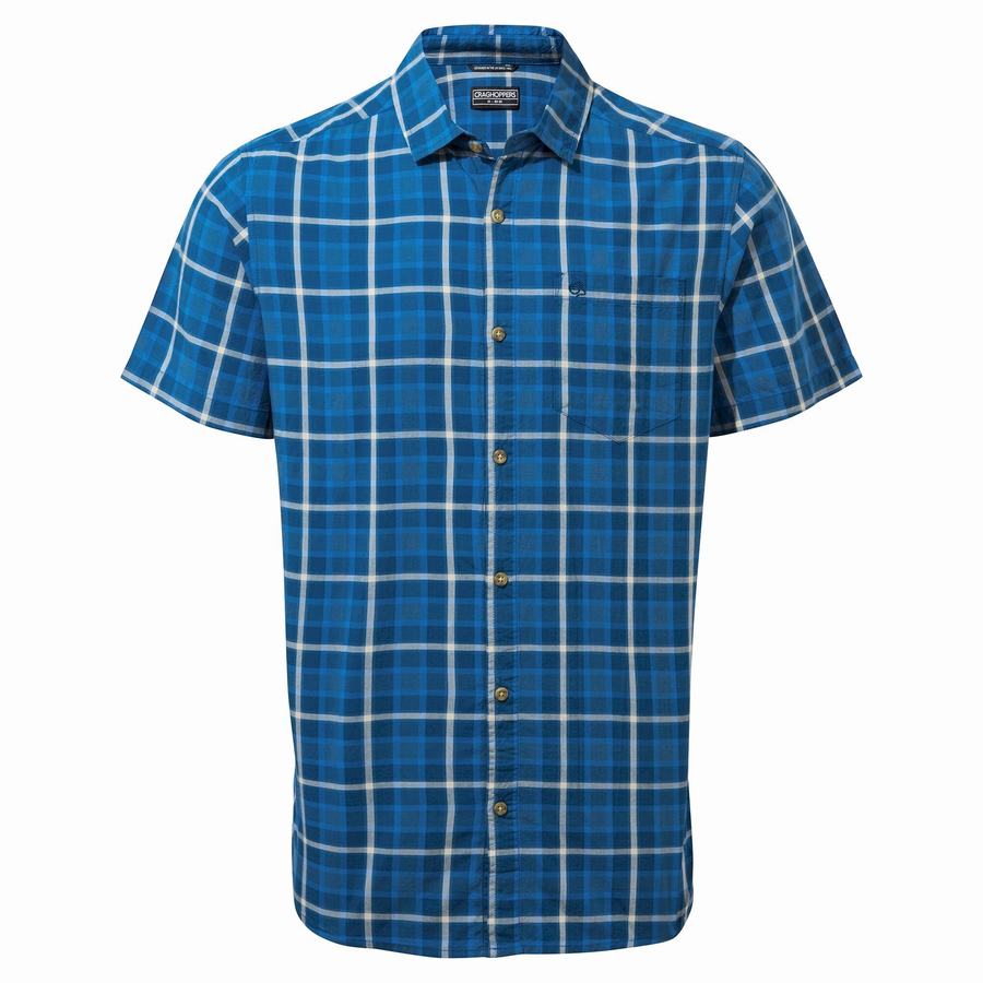 Green Craghoppers Menlo Short Sleeved Men's Shirts | ZKQ5835TB