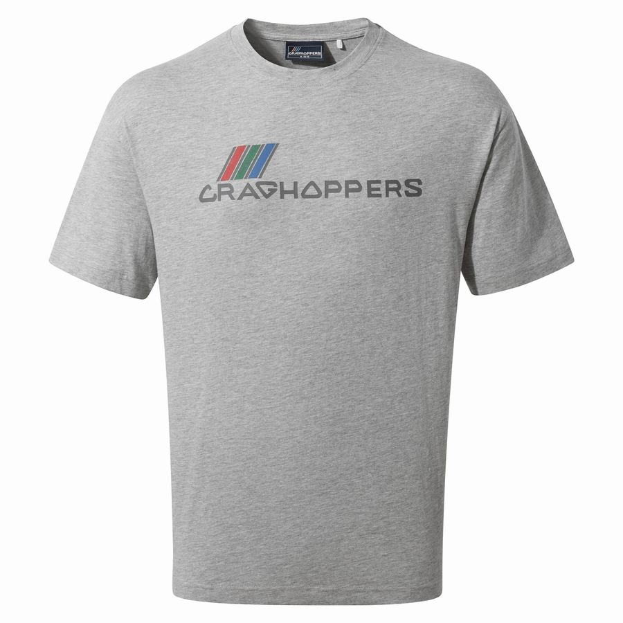 Grey Craghoppers Crosby Short Sleeved Women's T-Shirts | ECU9444ER