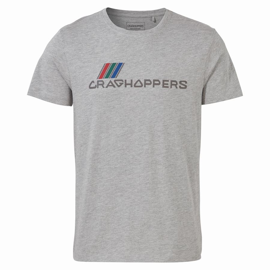 Grey Craghoppers Lugo Short Sleeved Men's T-Shirts | BOY1784YL