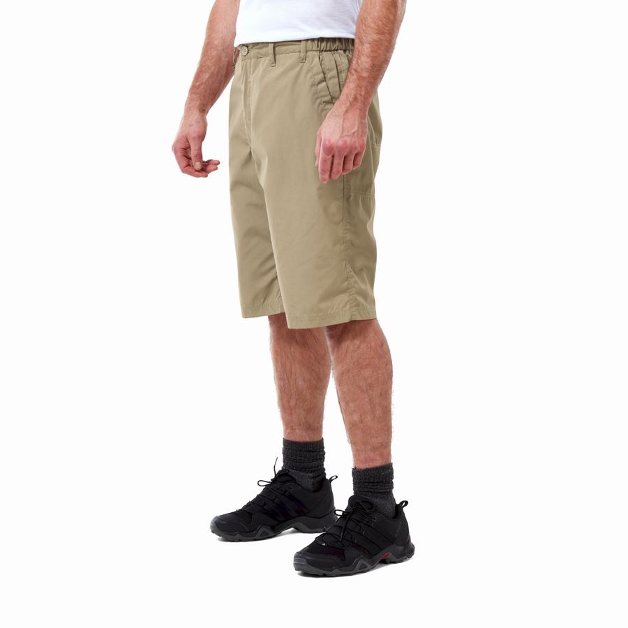 Khaki Craghoppers Kiwi Long Men's Shorts | EGB5063GM