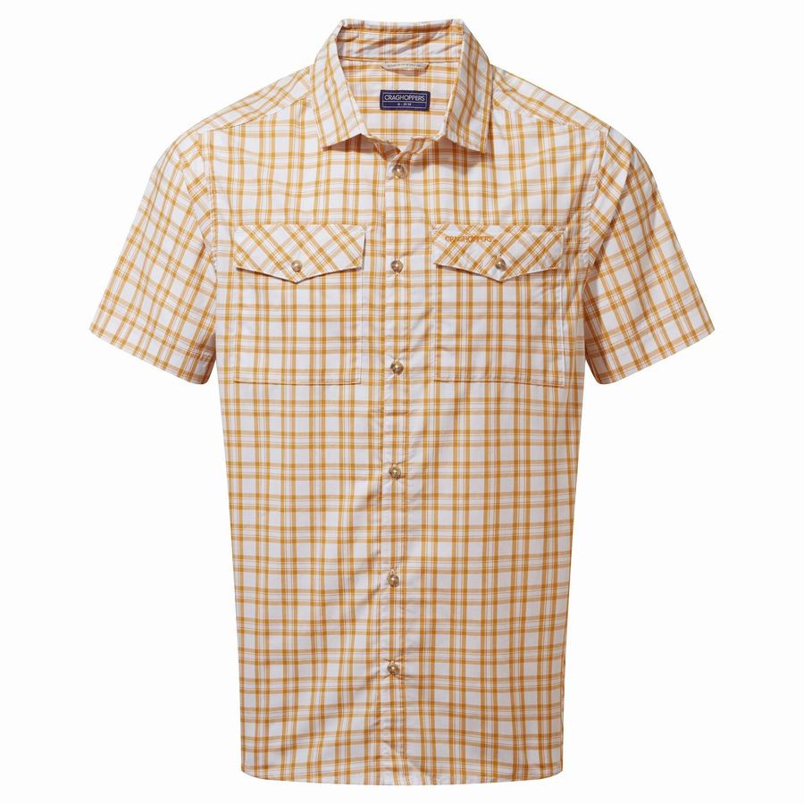 Multicolor Craghoppers Murray Short Sleeved Men's Shirts | PUM5545JB