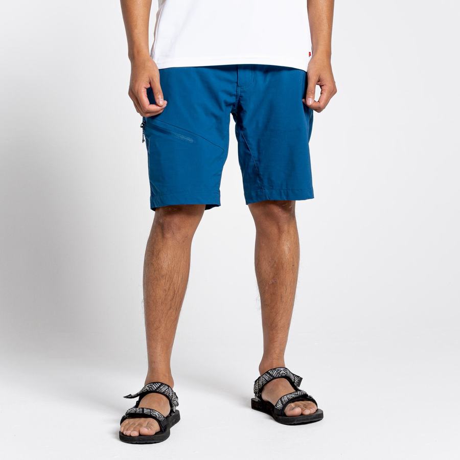 Navy Blue Craghoppers NosiLife Pro Active Men's Shorts | VNX3474NU