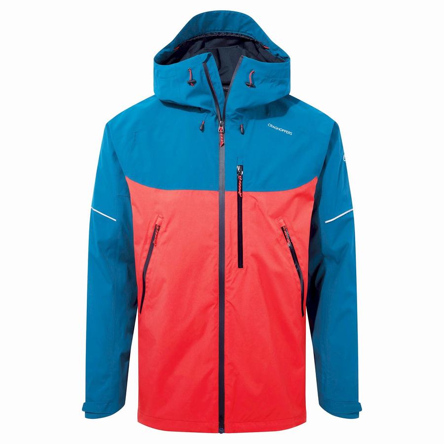 Navy Blue Orange Red Craghoppers Waterproof Dynamic Men's Jackets | WFP6441CX