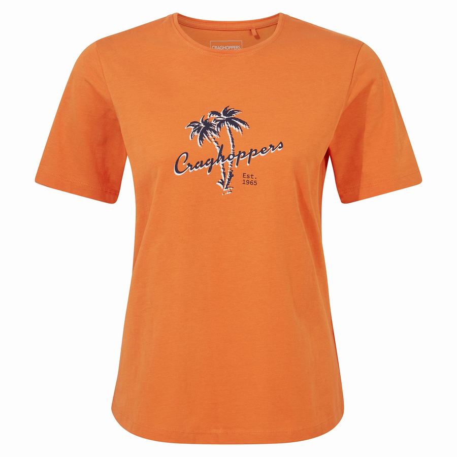 Orange Craghoppers Ally Short Sleeved Women's T-Shirts | CUT9861KC