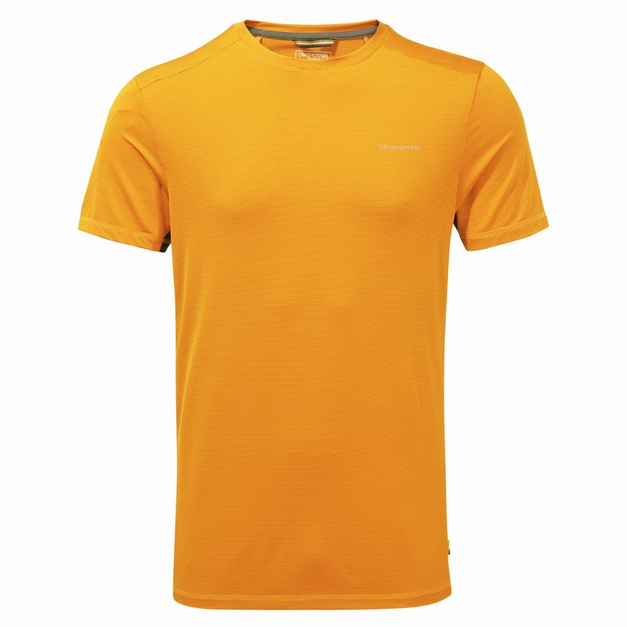 Orange Craghoppers Atmos Short Sleeved Men's T-Shirts | IHP3910JE