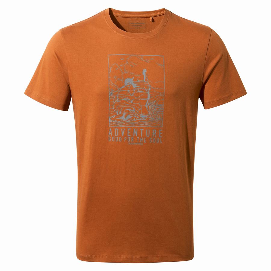 Orange Craghoppers Caldo Short Sleeved Men's T-Shirts | USA9458DH