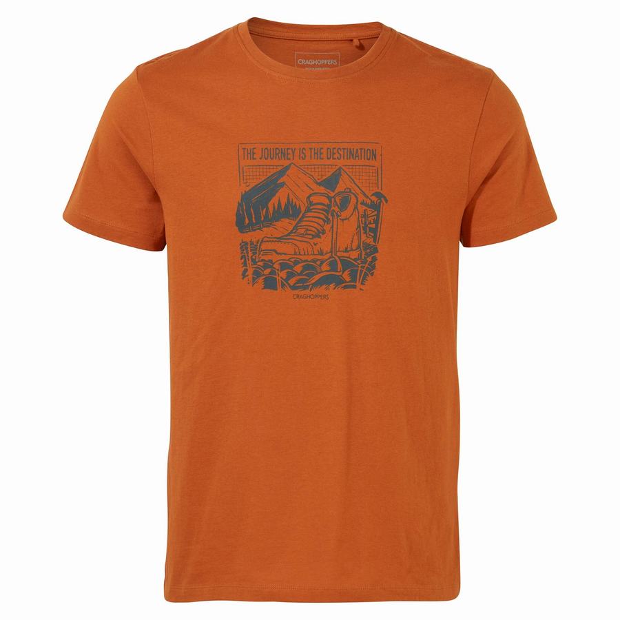 Orange Craghoppers Lugo Short Sleeved Men's T-Shirts | KHM85TN