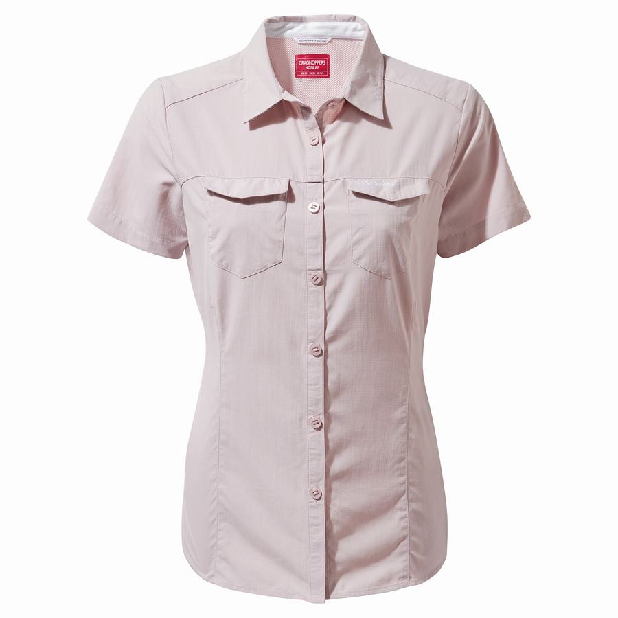 Purple Craghoppers NosiLife Adventure II Short Sleeved Women's Shirts | ZJH1213ET