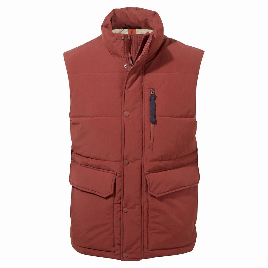 Red Craghoppers Dunbeath Vest Men's Gilets | KHC563RZ