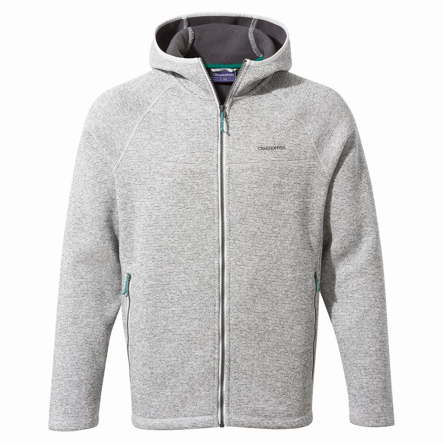 Silver Craghoppers Brayden Hooded Men's Sweaters | JBB4547OB