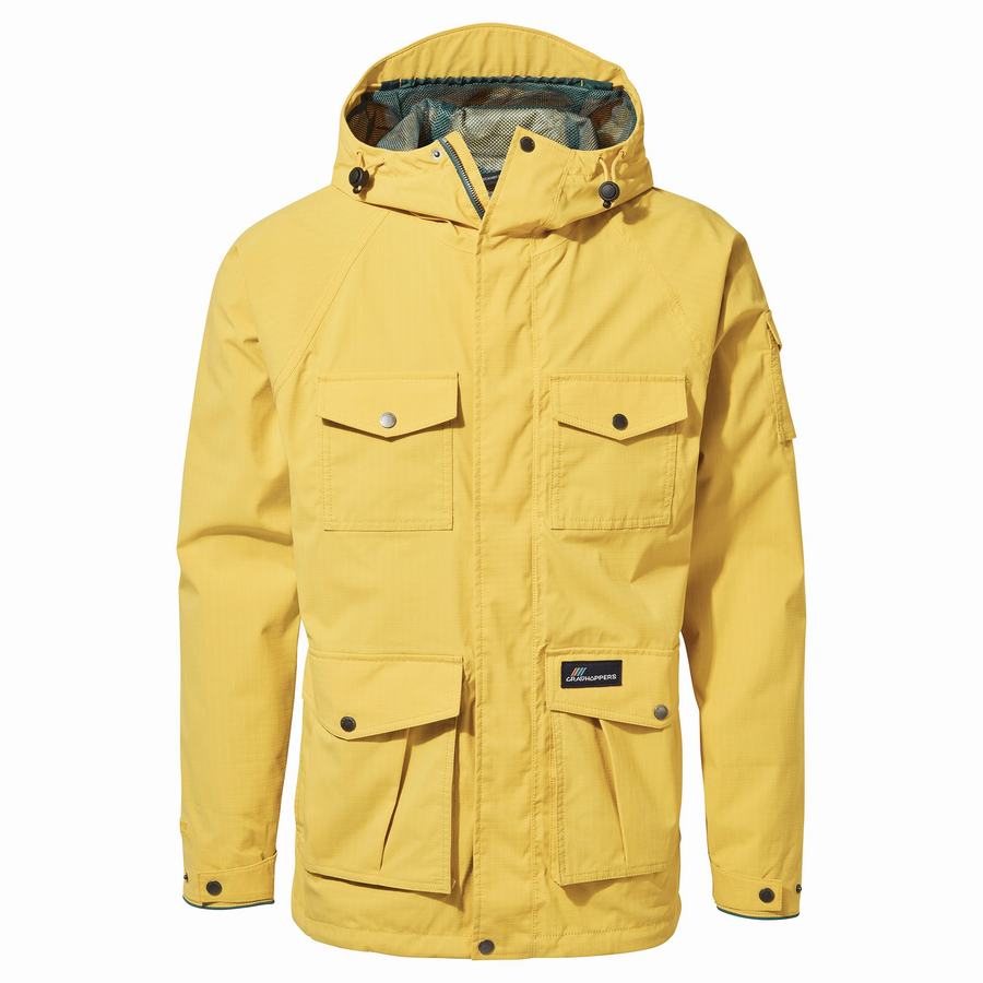 Yellow Craghoppers Canyon Men's Jackets | AHS891UA