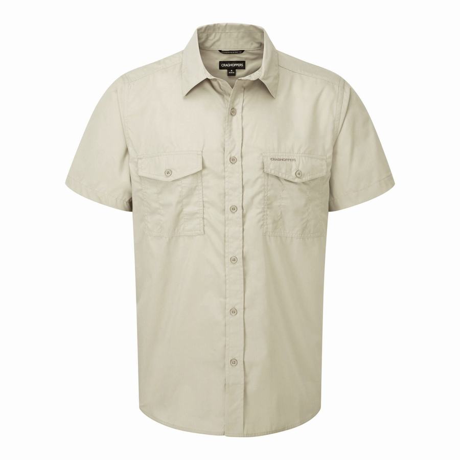 Beige Craghoppers Kiwi Short Sleeved Men\'s Shirts | DJK8724XL