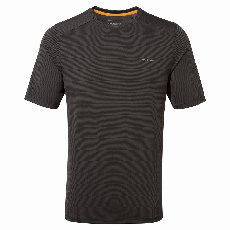 Black Craghoppers Belardo Short Sleeved Men's T-Shirts | IUW5653MH