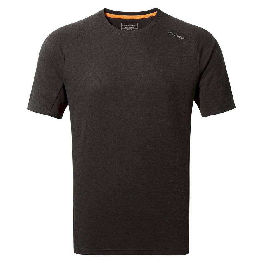 Black Craghoppers Dynamic Pro Short Sleeved Men's T-Shirts | DGJ1281SL