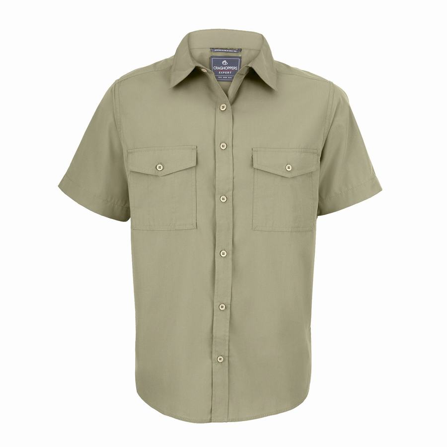 Black Craghoppers Expert Kiwi Short Sleeved Men's Shirts | IDQ5547AS