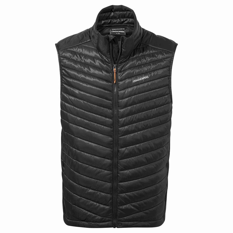 Black Craghoppers ExpoLite Insulated Vest Men\'s Gilets | TKW8947JM