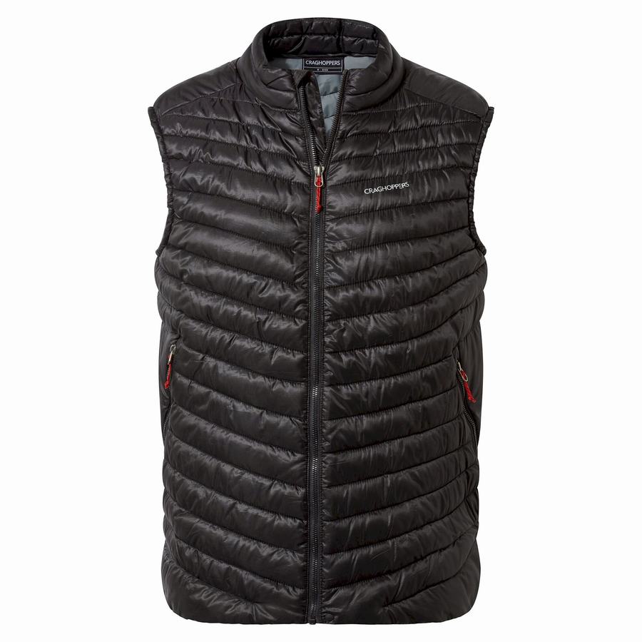 Black Craghoppers ExpoLite Vest Men's Gilets | DUG2120QV