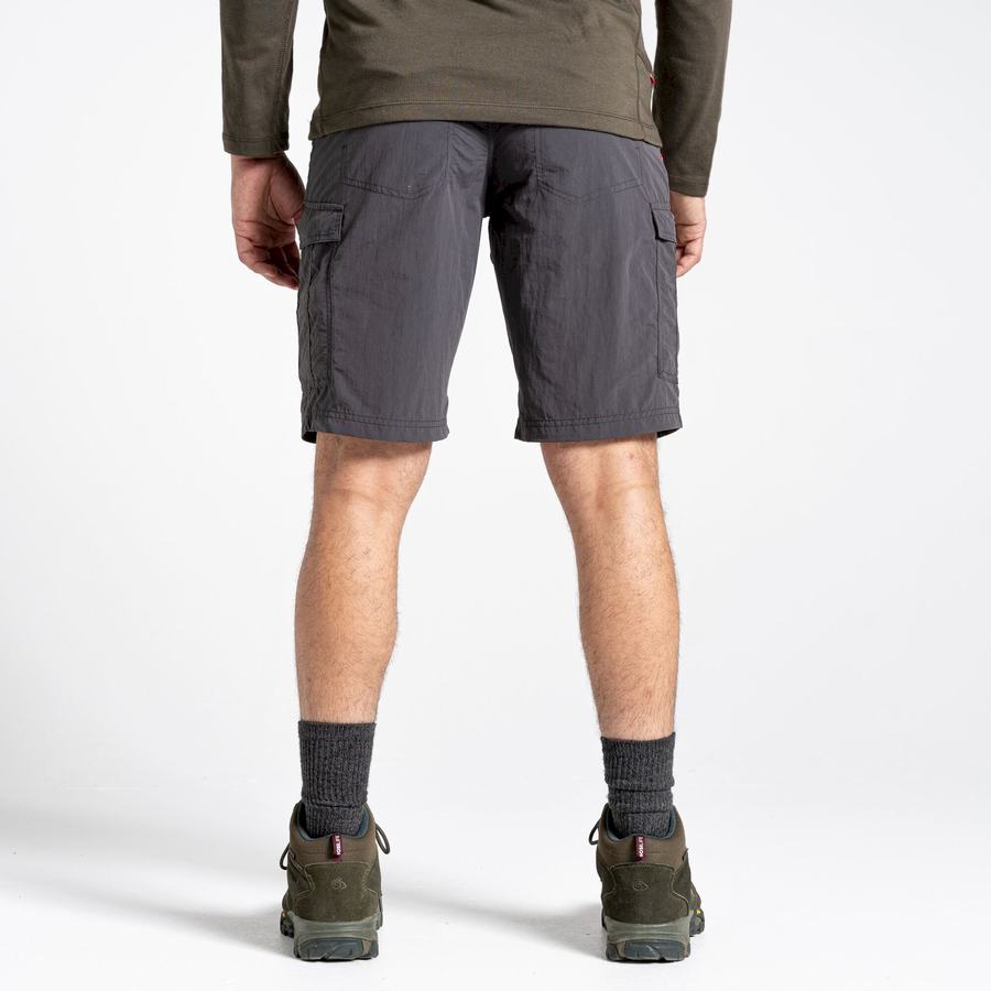 Black Craghoppers NosiLife Cargo II Men's Shorts | SKK3077PU