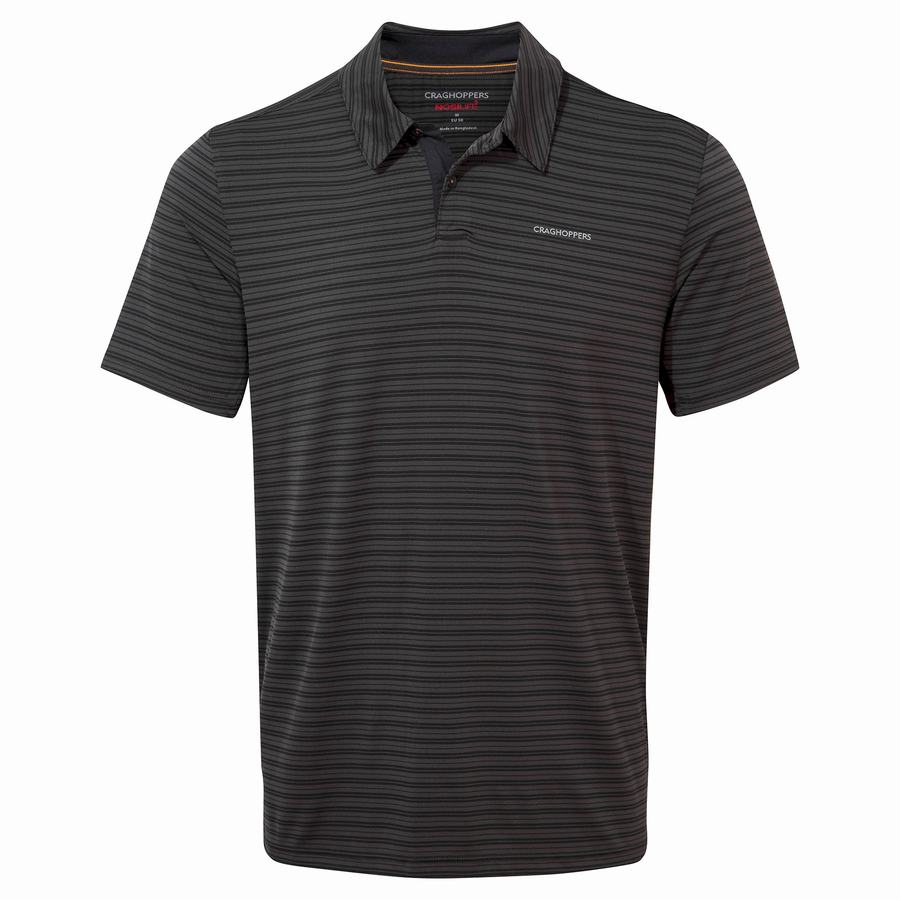 Black Stripes Craghoppers NosiLife Pro Short Sleeved Polo Men's T-Shirts | AKY5361EO