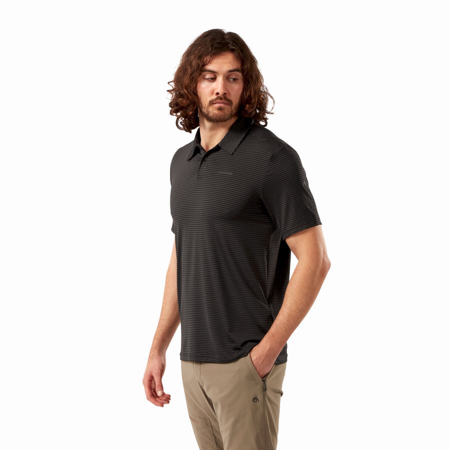 Black Stripes Craghoppers NosiLife Pro Short Sleeved Polo Men's T-Shirts | AKY5361EO