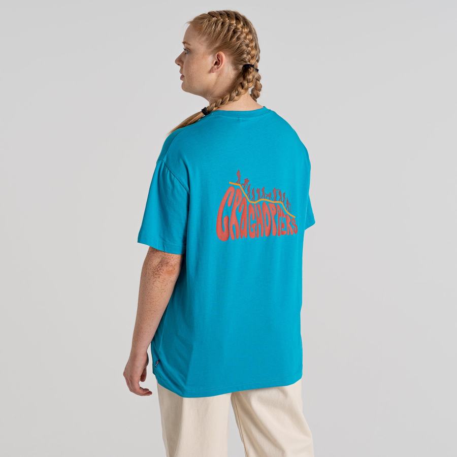 Blue Craghoppers Crosby Short Sleeved Men's T-Shirts | XLS7599OM