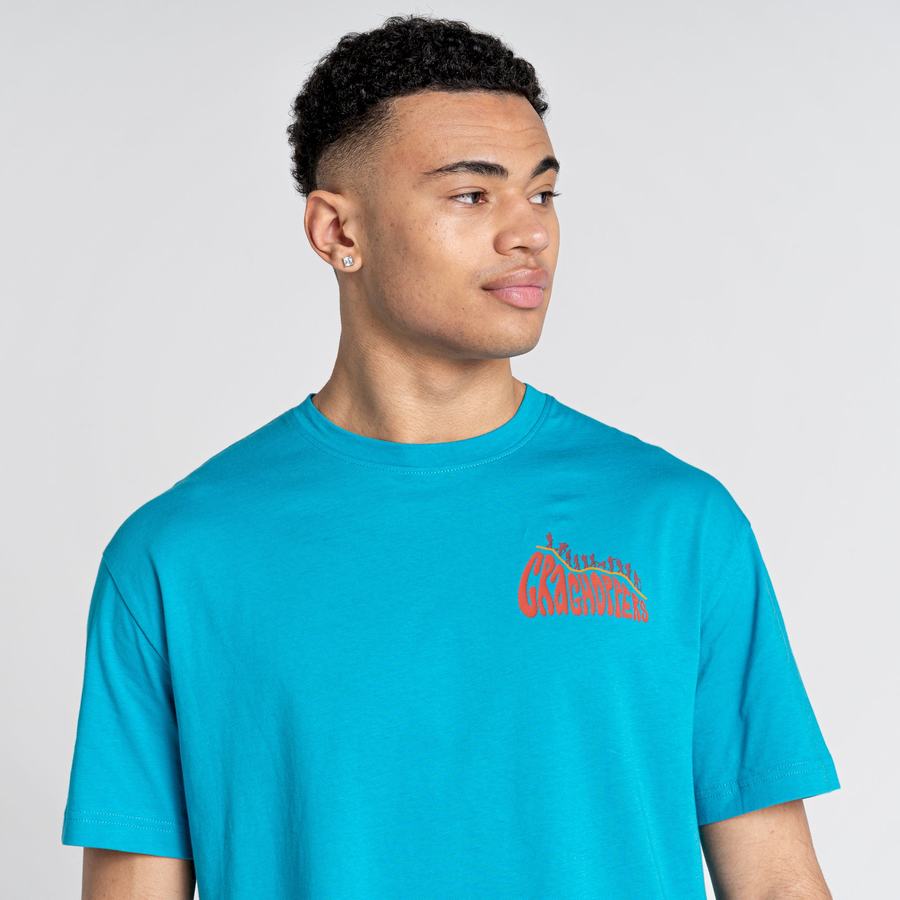 Blue Craghoppers Crosby Short Sleeved Men's T-Shirts | XLS7599OM