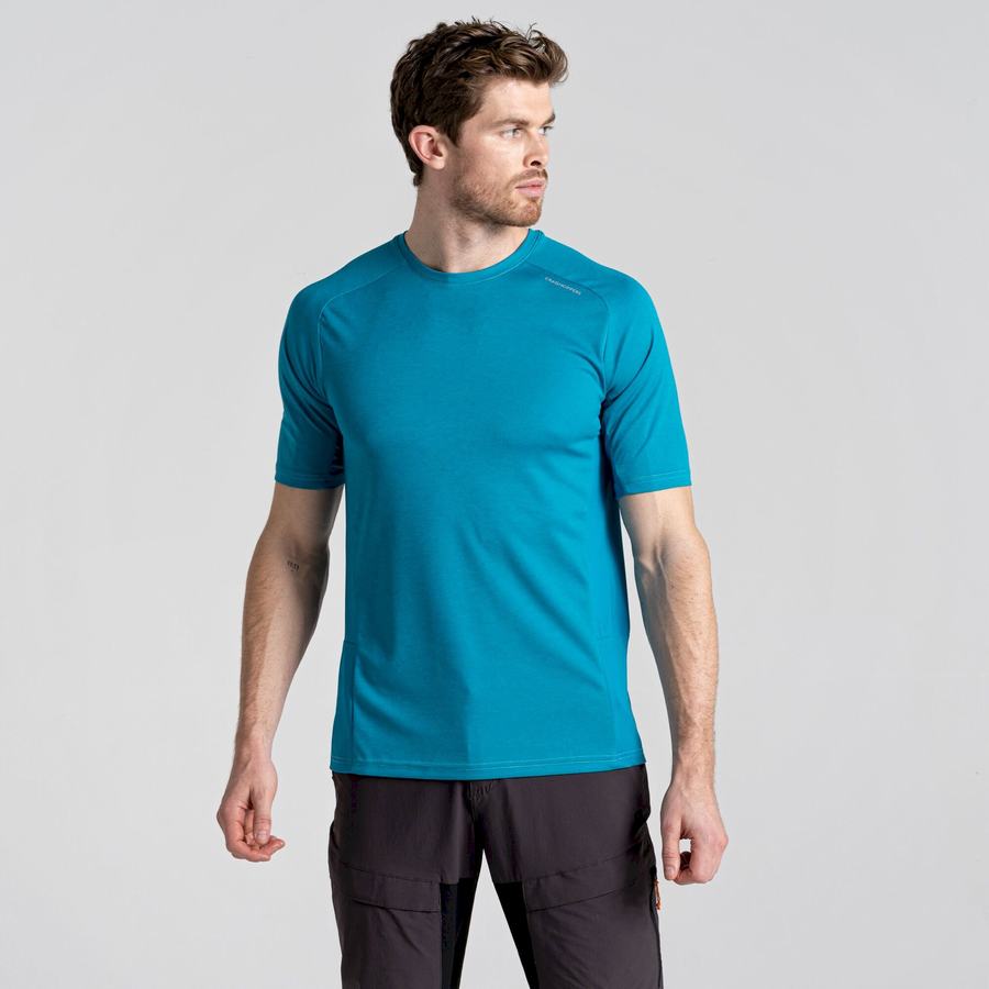 Blue Craghoppers Dynamic Pro Short Sleeved Men's T-Shirts | AVQ672CZ