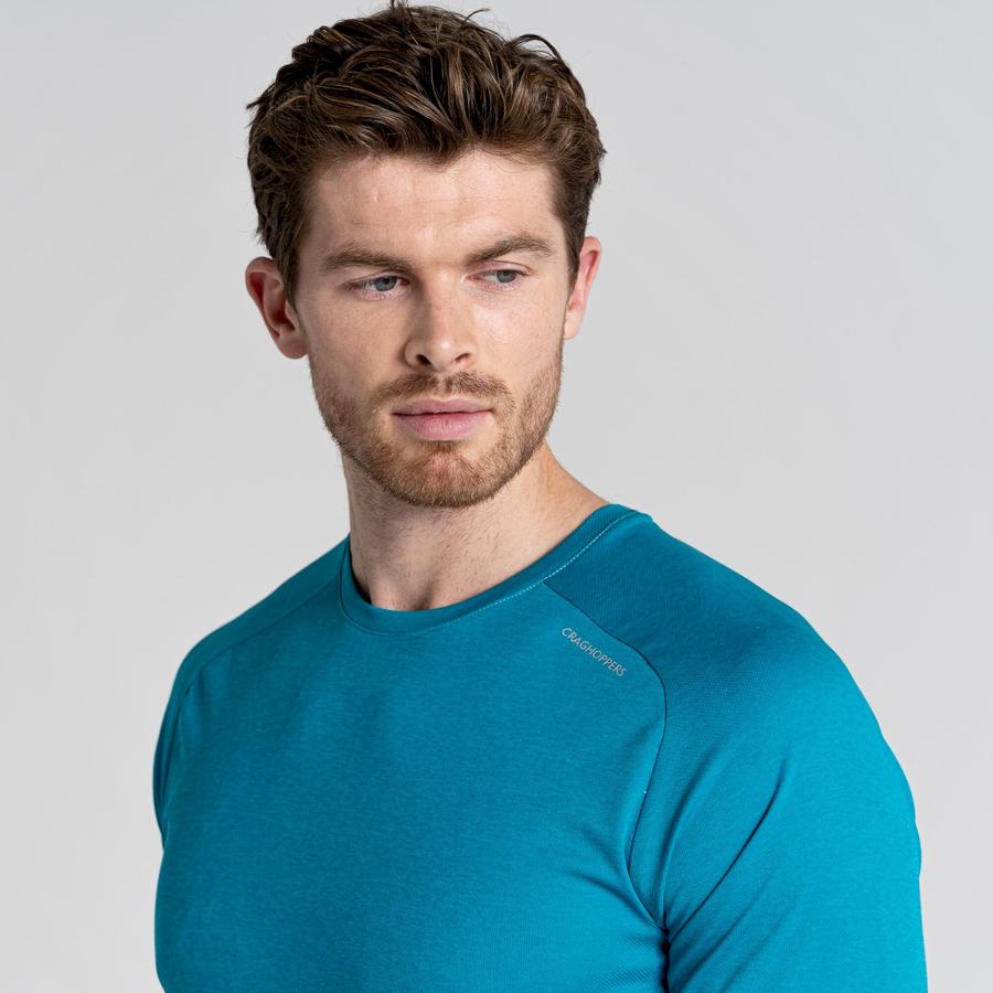 Blue Craghoppers Dynamic Pro Short Sleeved Men's T-Shirts | AVQ672CZ