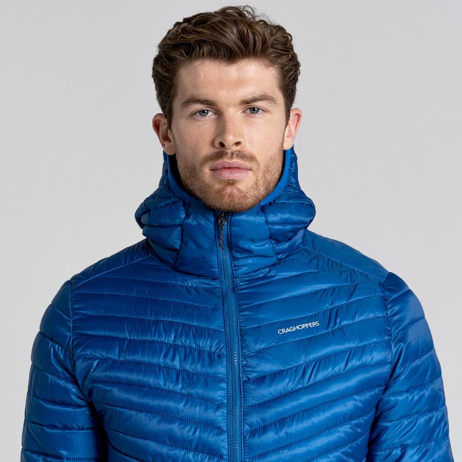 Blue Craghoppers ExpoLite Insulated Hooded Men's Jackets | UZA4727VH