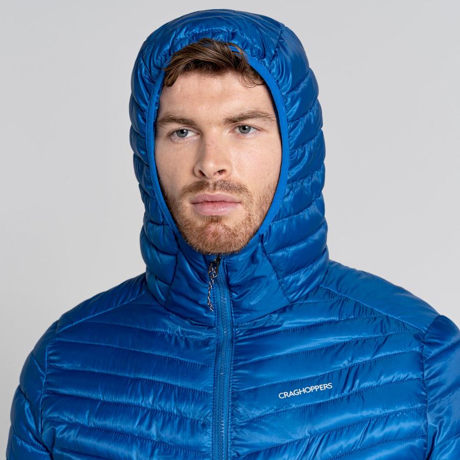 Blue Craghoppers ExpoLite Insulated Hooded Men's Jackets | UZA4727VH