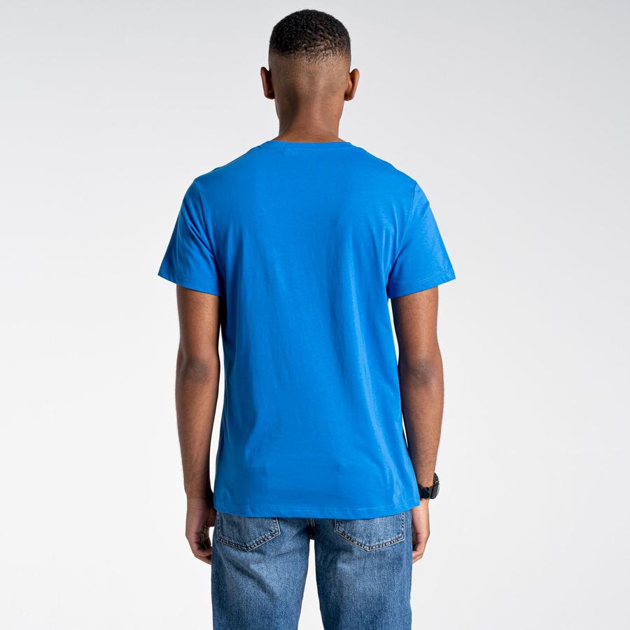 Blue Craghoppers Lugo Short Sleeved Men's T-Shirts | NJI334DQ