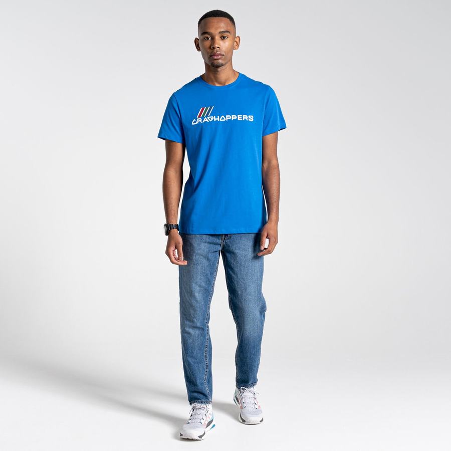 Blue Craghoppers Lugo Short Sleeved Men's T-Shirts | NJI334DQ